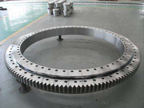 large slewing ring bearing Alt.